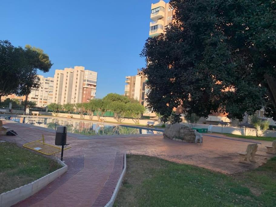 Apartament Moderno Y Coqueto En Playa San Juan Alacant